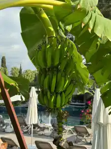 Akra Kemer - Ultra All Inclusive - 38