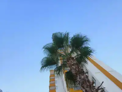 Lara Garden Butik - 76