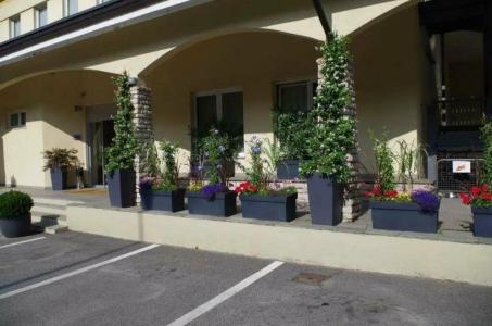 Best Quality La Darsena
