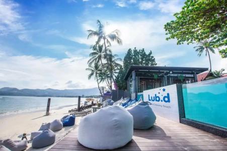 Lub d Koh Samui Chaweng Beach - SHA Extra Plus - 10
