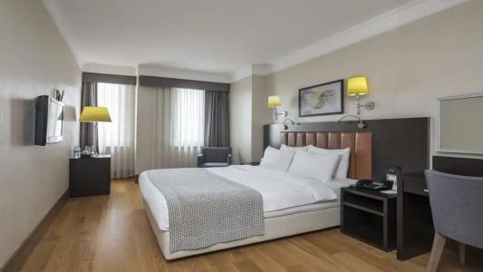 Holiday Inn Istanbul Old City, an IHG - 95