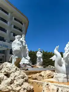 Selectum For Two Side - 1