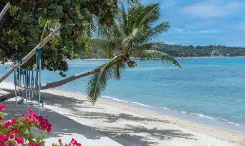 Sand Sea Resort & Spa - Lamai Beach , Koh Samui - 96