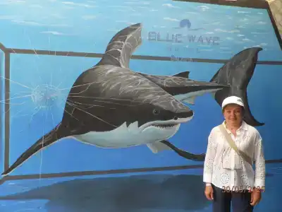 Blue Wave Suite - 57