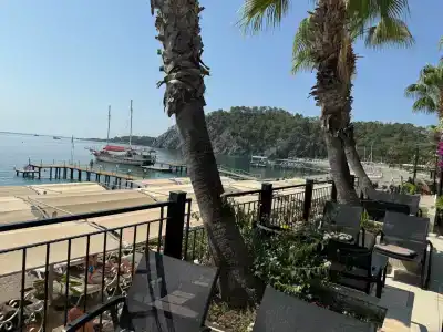 ROBINSON CAMYUVA - Adults only - 78