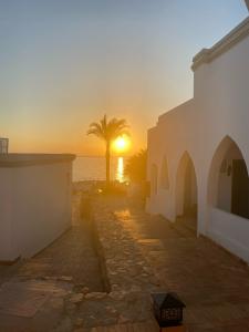 Club Reef Resort & Spa - 51
