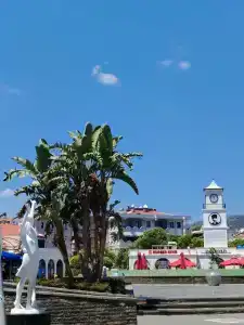 TUI BLUE Grand Azur - 36