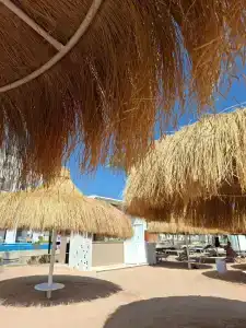 Sunrise Remal Resort - 26