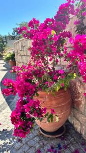 Mandarin Resort & Spa - 24