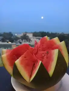 Rehana Royal Beach Resort - Aquapark & Spa - Family & Couples Only - 21