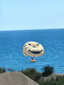 Selectum For Two Side - 11