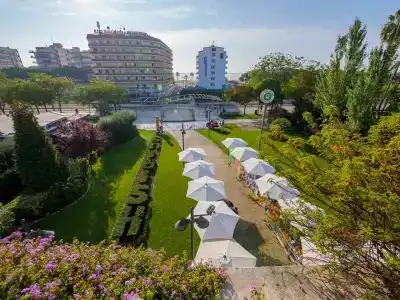 DWO Sirius - Adults Only - 1