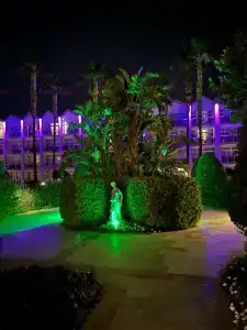 Dobedan World Palace ''Ex Brand Alva Donna World Palace '' - 28