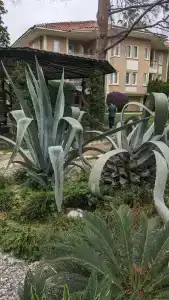 Akka Alinda - Premium Ultra All Inclusive - 92