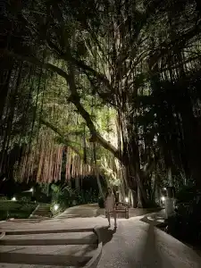 Sheraton Samui Resort - 25