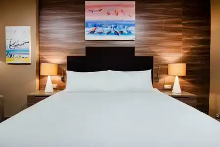 DoubleTree by Hilton Ankara Incek - 53