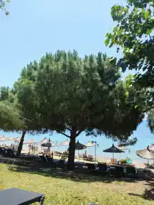 Yasmin Bodrum Resort - 43