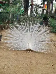 Long Beach Alanya - Ultra All Inclusive - 80