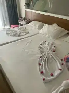 Alba Resort - Ultra All Inclusive - 23