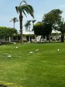 Shams Safaga Resort - 45