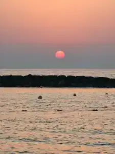 Coral Beach Resort Sharjah - 92