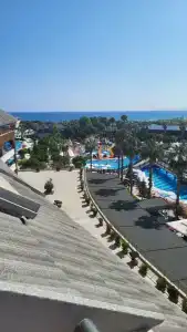 Tuı Magic Life Jacaranda - 51