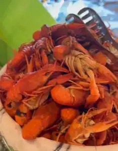 Selectum Luxury Door'a Bodrum - 78