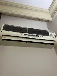 Arsi - 52