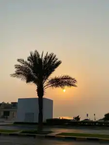 Ramada by Wyndham Beach Ajman - 61