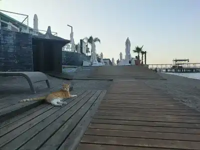 Corendon Playa Kemer - 68