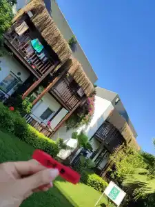 Bitez Garden Life - 62