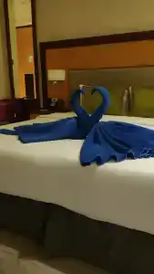 Golden Tulip Media - 14