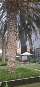 Ramada & Suites by Wyndham Ajman - 90