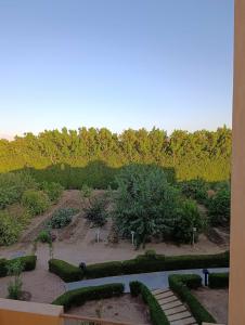 Lemon & Soul Makadi Garden - 62