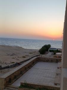 Viva Blue Resort and Diving Sharm El Naga (Adults Only) - 96