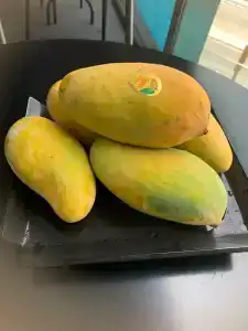 Wyndham Garden Ajman Corniche - 95