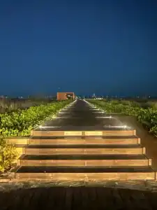 Saadiyat Rotana Resort and Villas - 99