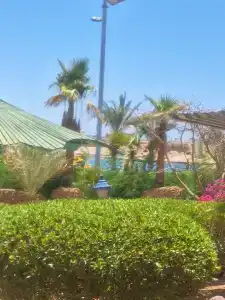 Turquoise Beach - 60