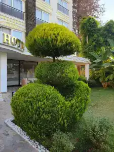 Lara Garden Butik - 63