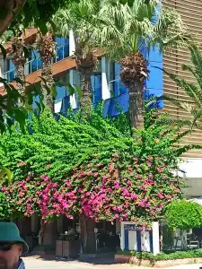 Sultan Sipahi Resort - 21