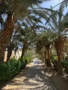 Steigenberger Golf Resort El Gouna - 85