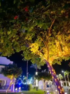 Novotel Sharm El-Sheikh - 41