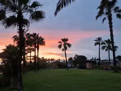 Paloma Finesse Side - 69