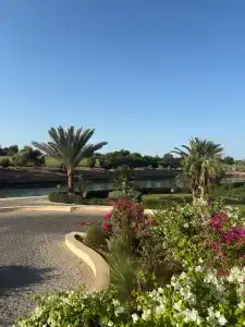 Steigenberger Golf Resort El Gouna - 78