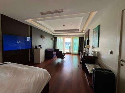 Radisson Blu Bosphorus, Istanbul - 79