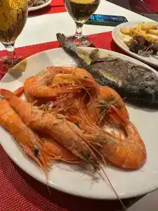 Adam & Eve - Adult Only - 77