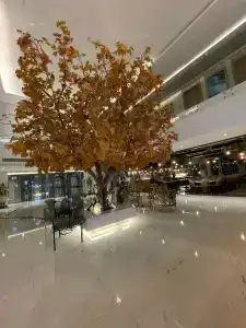 C Central Resort the Palm - 3