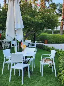 Emelda Sun Club - 73