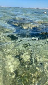 Charmillion Gardens Aquapark - 61