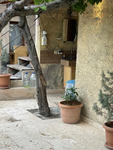 Falcon Cave Suites - 45